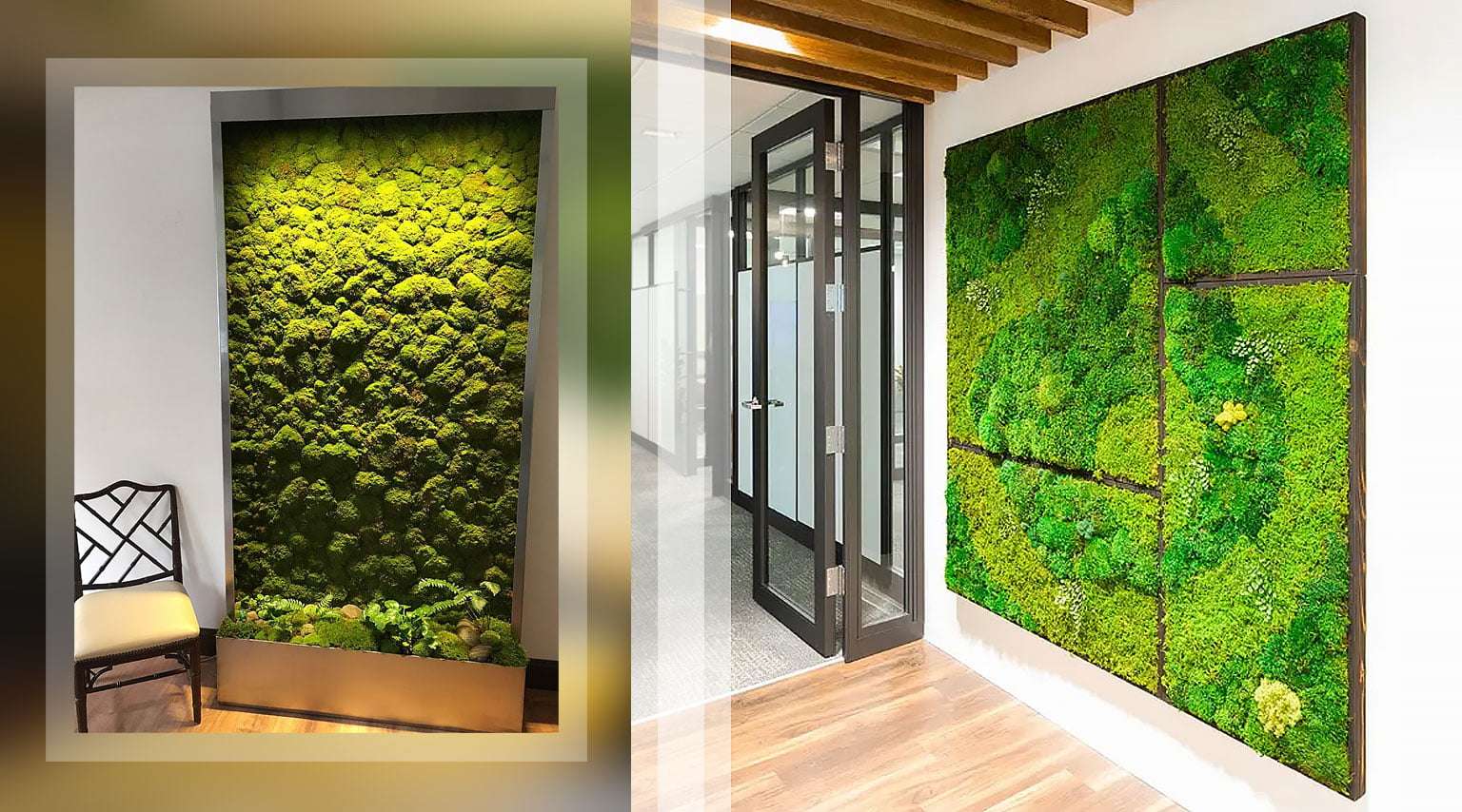 moss wall, burjkhalifa, vertical garden, biophilic design, bespoke tree, indoor & outdoor plants, landscaping, interior Dubai, UAE